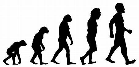 The Next Evolutionary&nbsp;Revolution